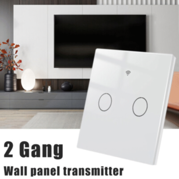 WiFi Touch Switch Panel 2 Gang