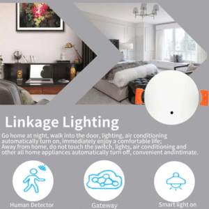 Tuya Ceiling Motion Light Sensor
