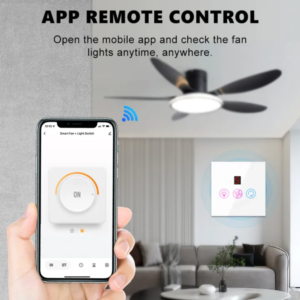Smart Light & Fan Switch